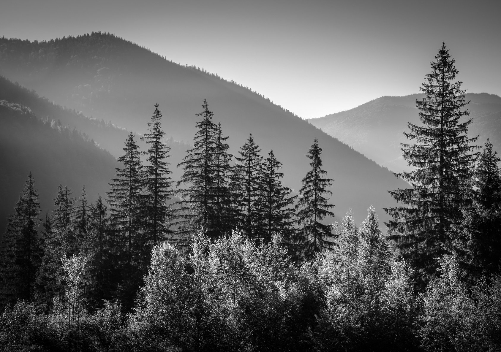 black and white picture of mountains